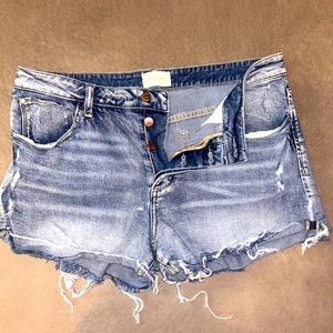 Gilded Intent Shorts